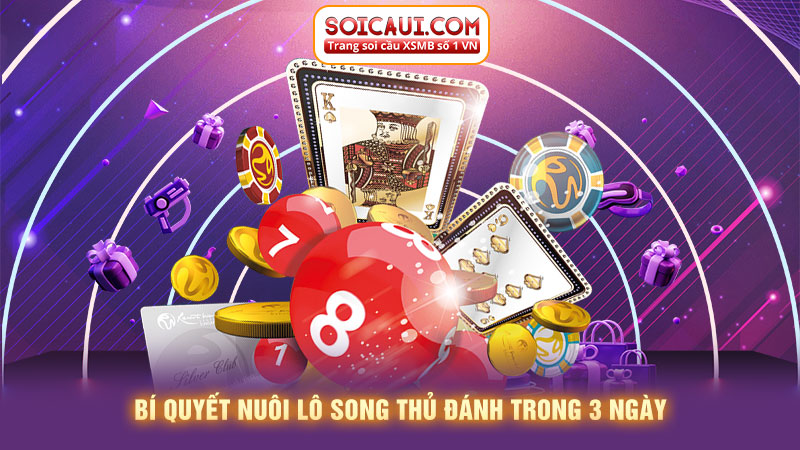 Bí quyết nuôi lô song thủ đánh trong 3 ngày