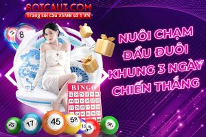 Nuôi chạm đầu đuôi khung 3 ngày chiến thắng