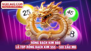 Rồng Bạch Kim 666