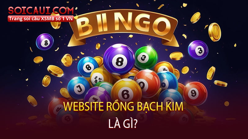 Website Rongbachkim là gì?