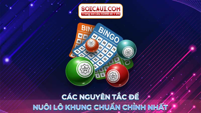 Các nguyên tắc để nuôi lô khung chuẩn chỉnh nhất