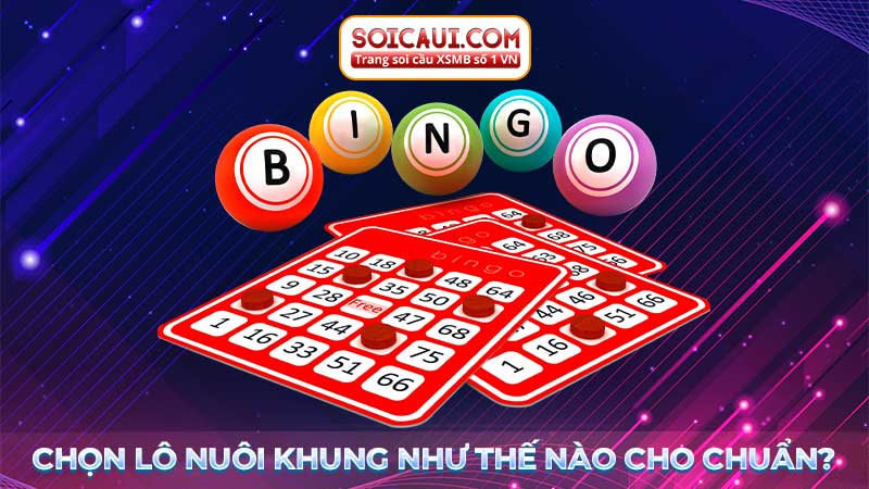 Nuôi lô khung chuẩn là như thế nào?