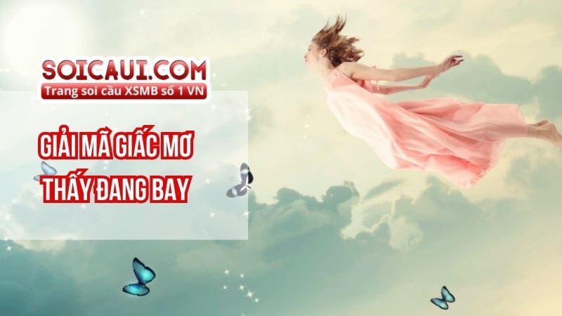 Giải mã giấc mơ thấy đang bay