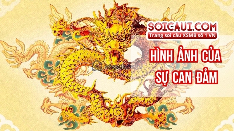 Hình ảnh của sự can đảm