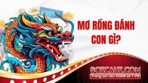 Mơ Rồng Đánh Con Gì