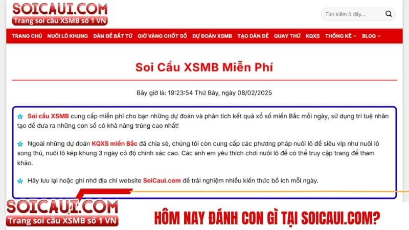 Hôm nay đánh con gì tại soicaui.com? 