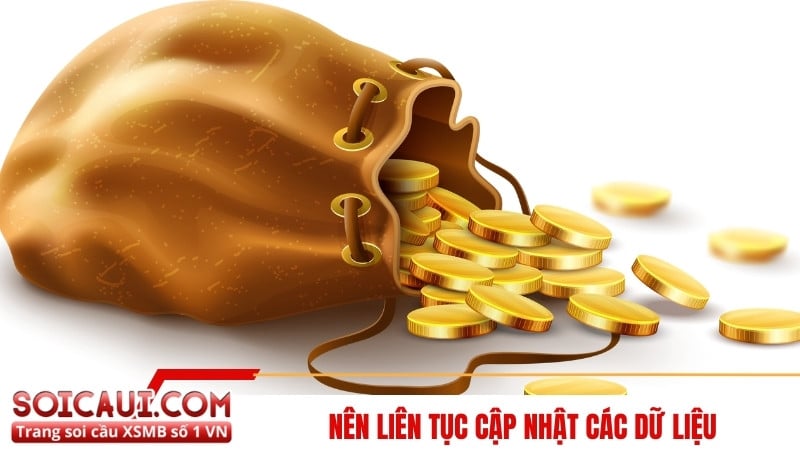 Nên liên tục cập nhật các dữ liệu 