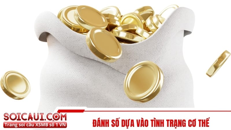 Đánh số dựa vào tình trạng cơ thể