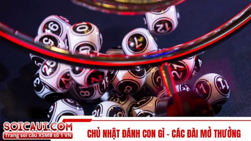 Chủ nhật đánh con gì - các đài mở thưởng