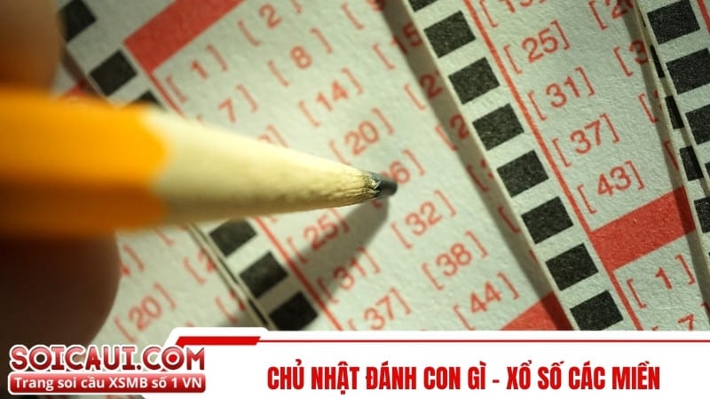 Chủ nhật đánh con gì - xổ số các miền 