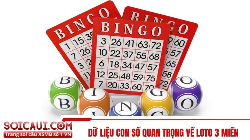 Dữ liệu con số quan trọng về loto 3 miền